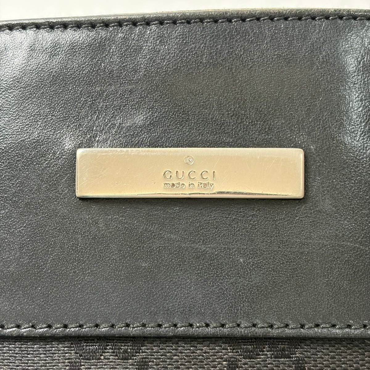 Gucci Canvas