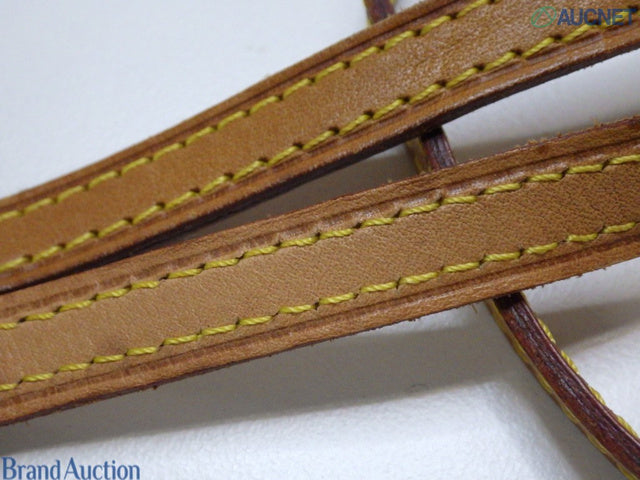 Louis Vuitton Pochette Twin PM with Shoulder Strap