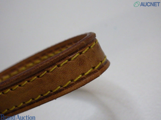 Louis Vuitton Pochette Twin PM with Shoulder Strap