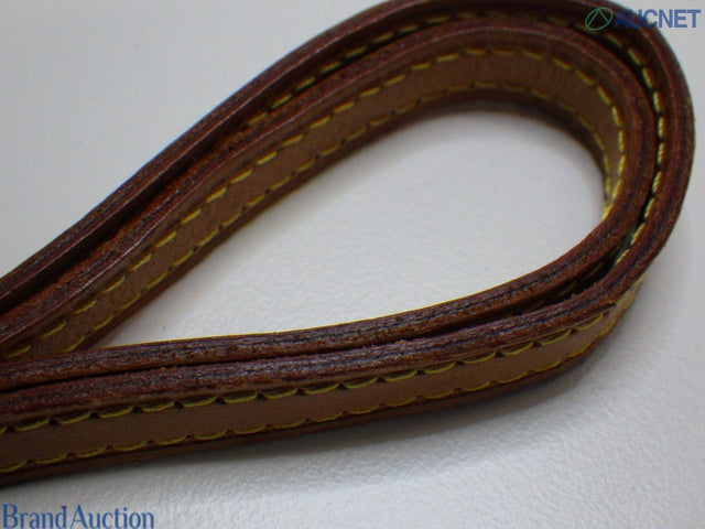 Louis Vuitton Pochette Twin PM with Shoulder Strap